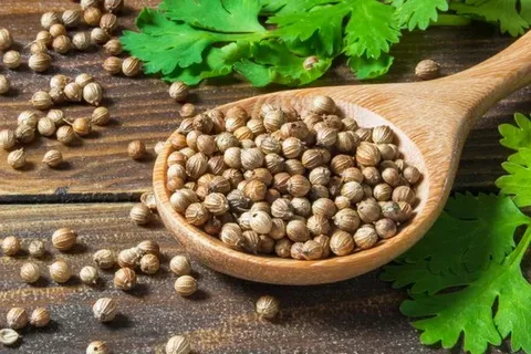 تصویر 2 از خرید و قیمت تخم گشنیز خشک + فروش عمده